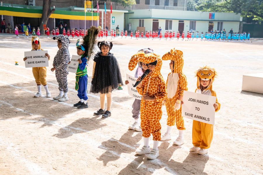 Kindergarten Programs (2024-25)